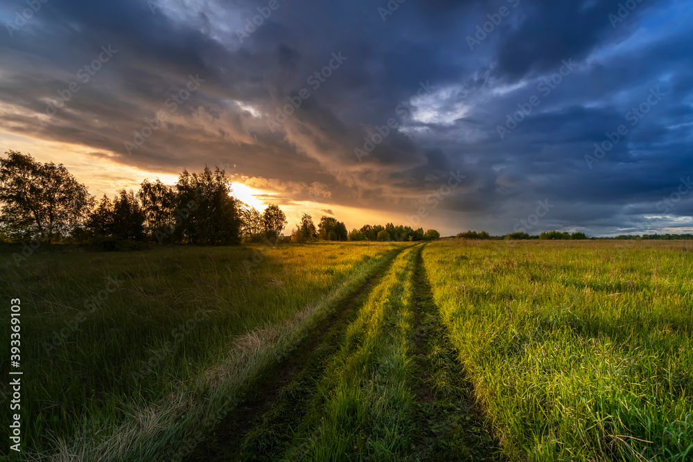Green grass on the background of a beautiful sunset sky with clouds.