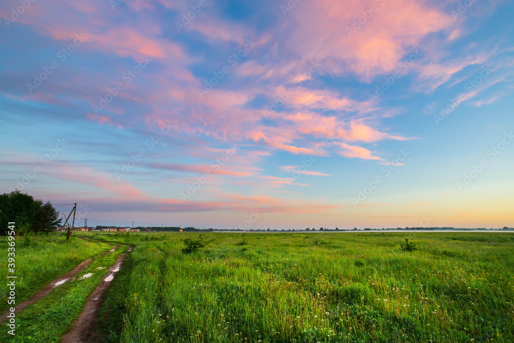 Obraz premium Green grass on the background of a beautiful sunset sky with clouds.
