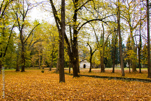 Park and garden in Tsinandali, Georgia. Autumn park landscape. photo