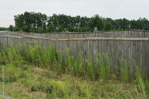 old long gray wooden fence from boards on the street in green grass © butus
