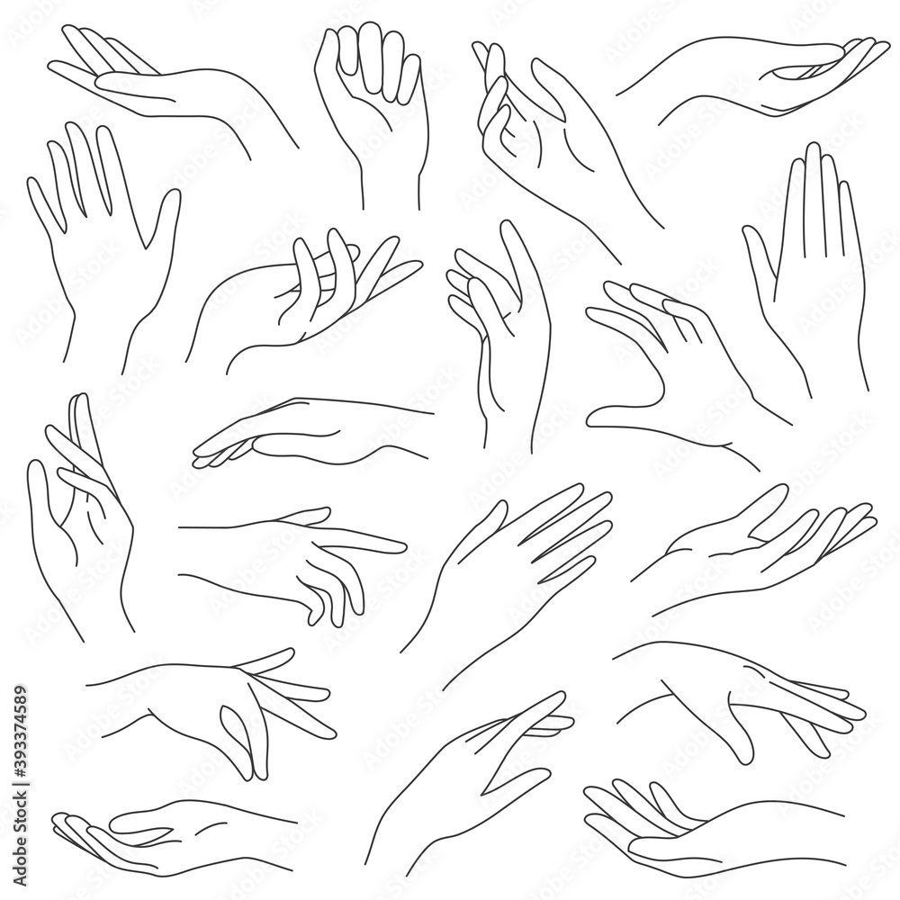 Female hands line. Outline elegant woman hand gestures. Beautiful palm and fingers icons in one line fashion minimalist style, vector set. Illustration hand collection woman, pretty elegant lady arm