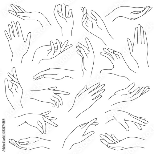 Female hands line. Outline elegant woman hand gestures. Beautiful palm and fingers icons in one line fashion minimalist style, vector set. Illustration hand collection woman, pretty elegant lady arm