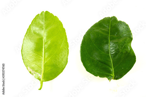 Citrus leaves