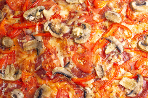 Pizza with salami, peppers, mushrooms, cheese, sauce and tomatoes.