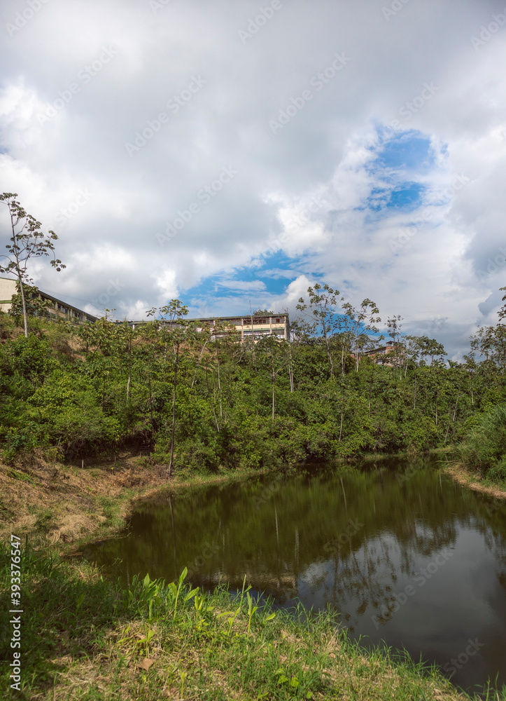 Landscape, lake and vegetation in Sevilla Valle del Cauca Colombia. 