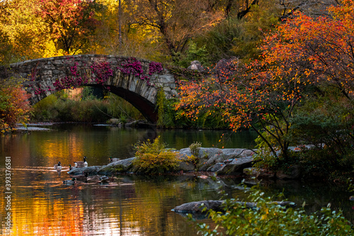 New York City - USA - Oct 31 2020: Beautiful Foliage Colors of Gapstow Bridge New York Central Park