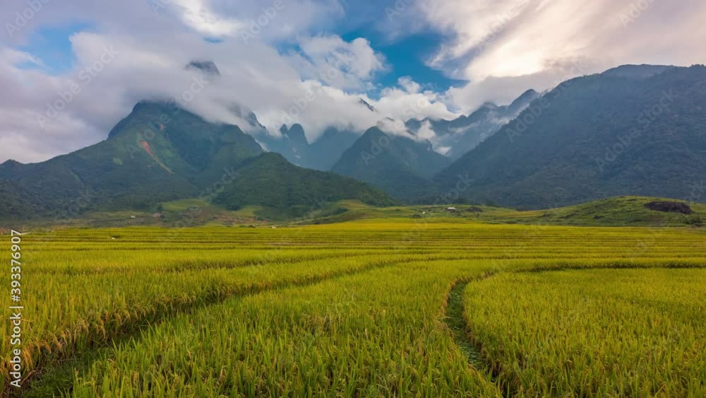 4K Timelapse Terraced rice fields with mount Fansipan in Lao Cai, northern Vietnam
4K Timelapse Terraced rice fields with mount Fansipan in Lao Cai, northern Vietnam