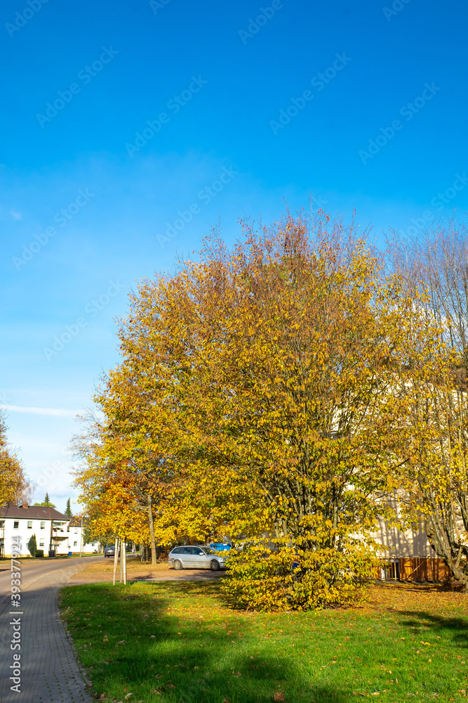 Herbstland