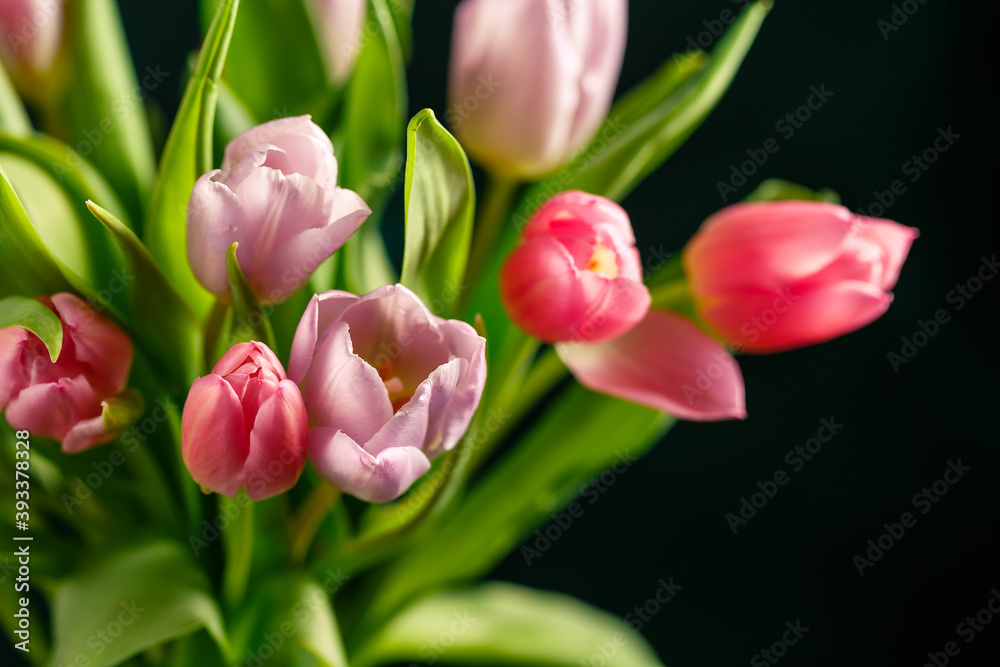 Bouquet of pink tulips