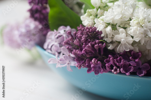 Piękne fioletowe i białe kwiaty bzu na białym tle 