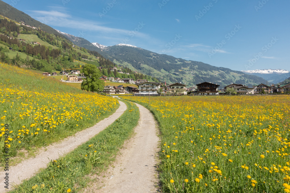 Feldweg ins Urlaubsdorf Schwendau Hippach im Zillertal in Tirol