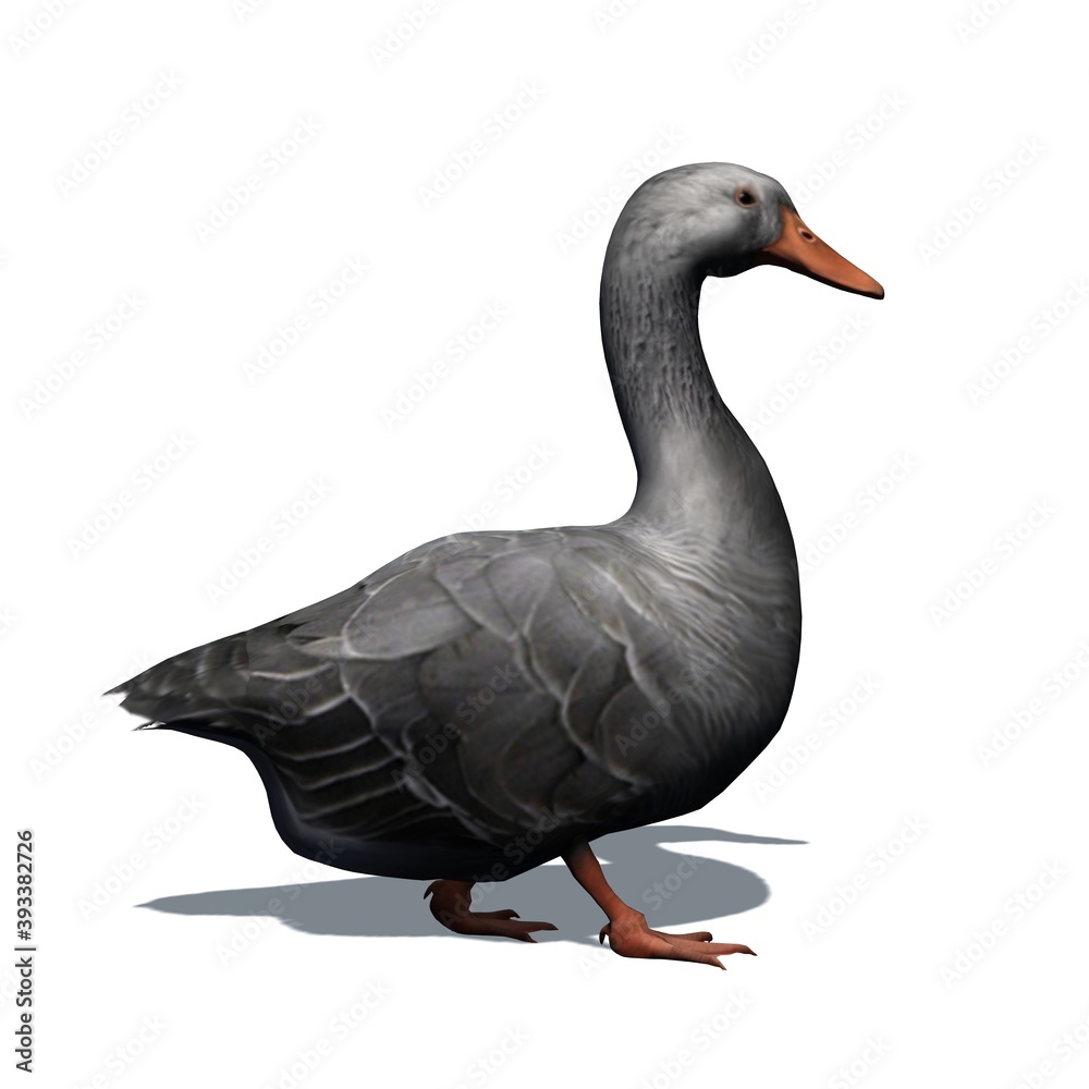 Obraz premium Farm animals - gray goose with shadow on the floor - isolated on white background - 3D illustration