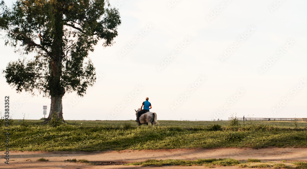 man on horseback in nature