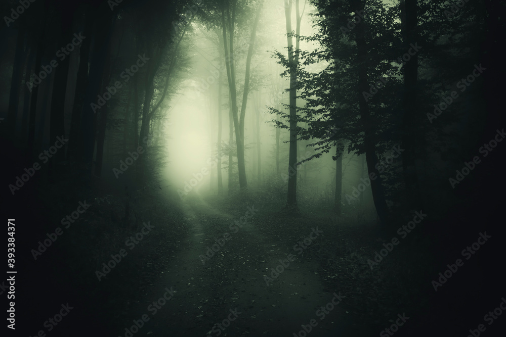 Obraz premium forest road in fog, creepy night in dark woods