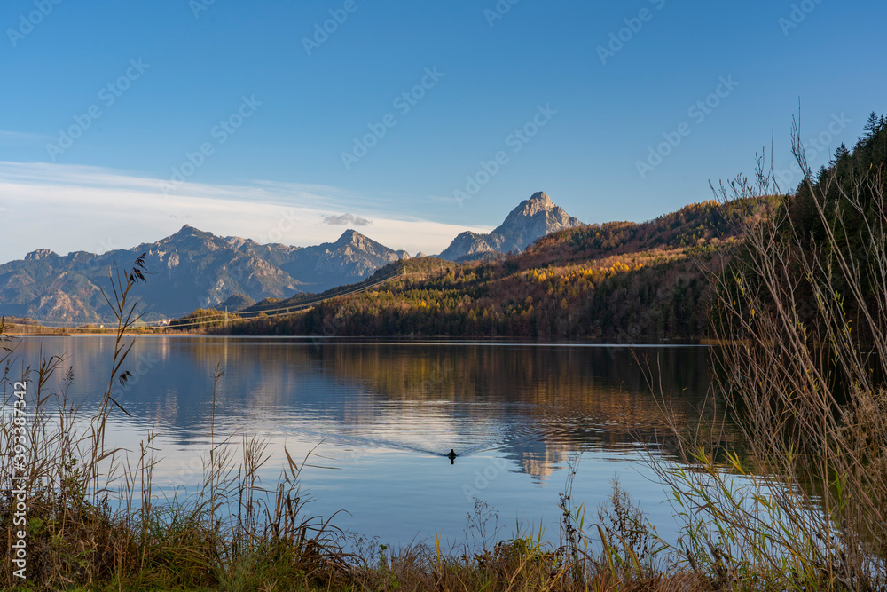 landscape in autumnal atmosphere at lake Weissensee in the eastern Allgaeu near City of Fuessen with Säuling summit in background
