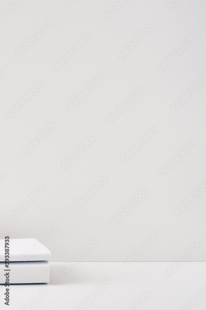 Two two books on a white background. Copy space, mock up. Two two books on a white background. Copy space, mock up.