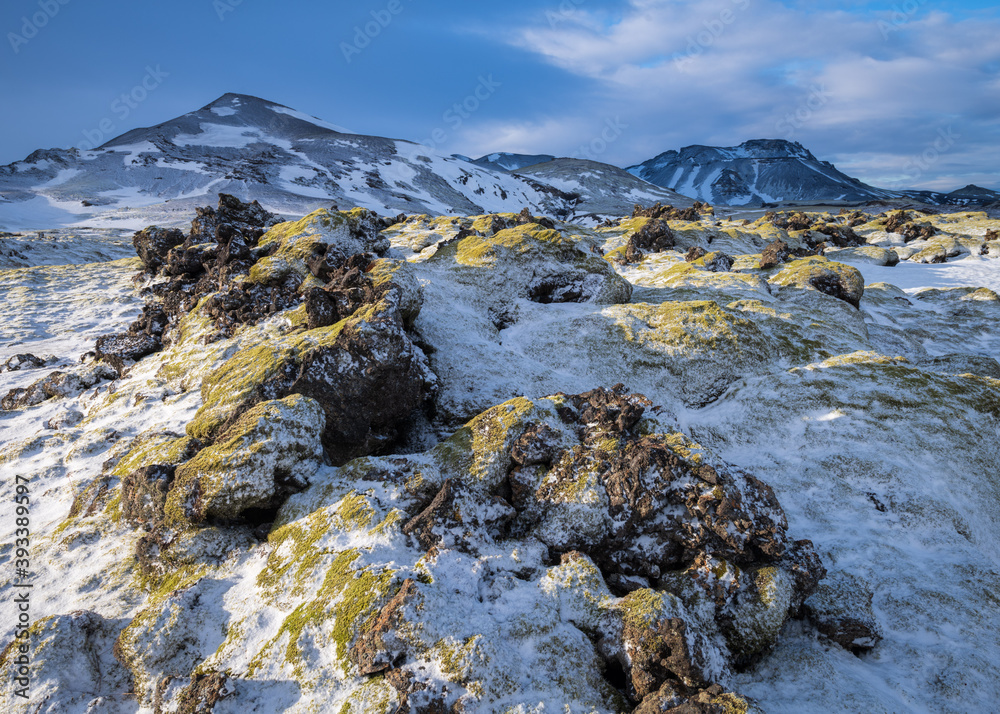 Moss and snow covered lava field at Hellisheiði Heath, South Iceland.