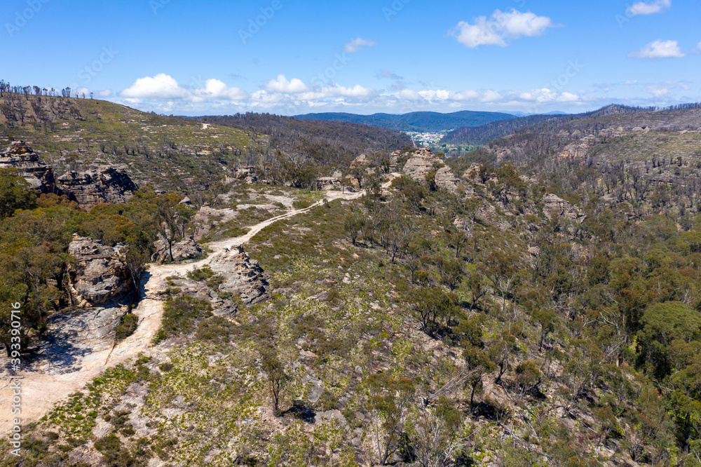 Aerial view of forest regeneration in a valley in regional Australia