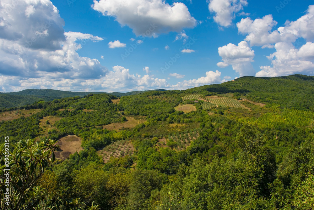 The green landscape around the historic village of Murlo, Siena Province, Tuscany, Italy
