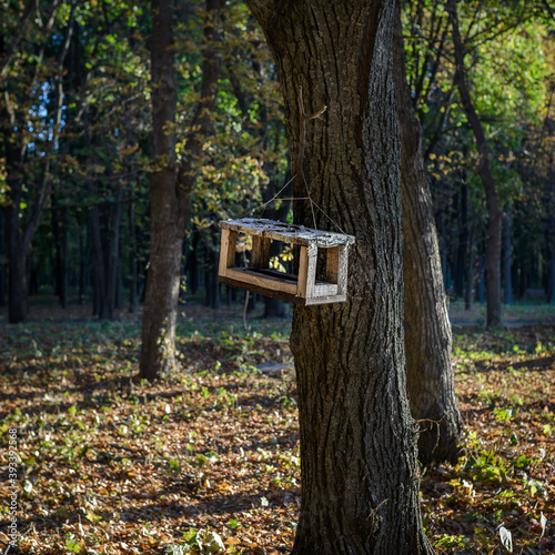 Autumn landscape - bird feeder in the form of a house.