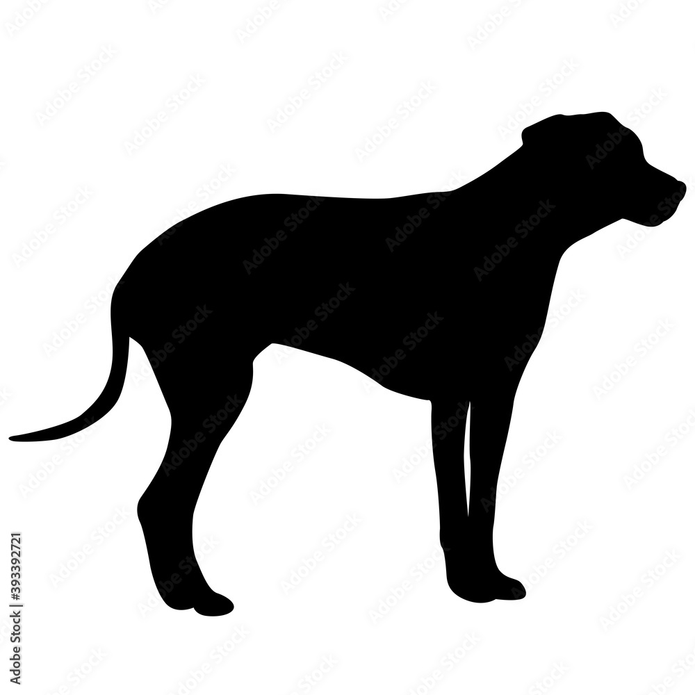 Doberman pinscher dog black silhouette on white background
