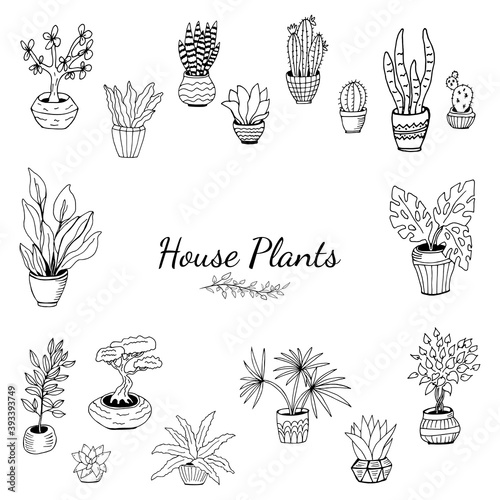 Set of hand drawn house plants in pots. Big set cute of hand drawn house plants in pots including cactus, dracena, aloe and others, and garden tools. Vector collection of doodle plants.