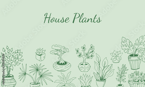 Fototapeta Naklejka Na Ścianę i Meble -  Set of hand drawn house plants in pots. Big set cute of hand drawn house plants in pots including cactus, dracena, aloe and others, and garden tools. Vector collection of doodle plants.