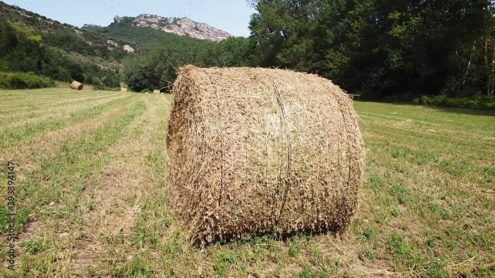 Aerial view of Hay bales in a meadow. High quality 4k footage Aerial view of Hay bales in a meadow. High quality 4k footage