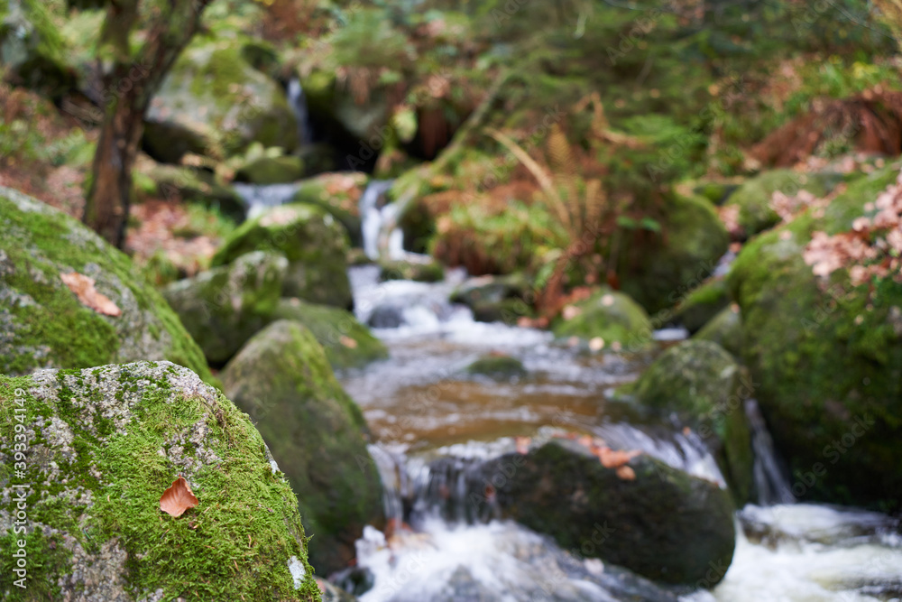 small waterfall in the forest between stones and trees, autumn leaves small waterfall in the forest between stones and trees, autumn leaves