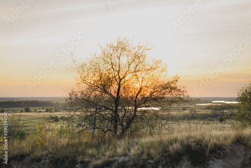Steppe autumn landscapes with grass and trees. © Valerii