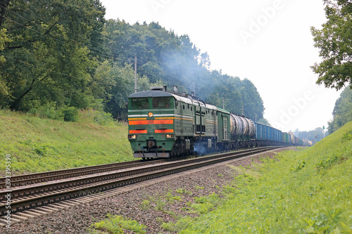 freight train in the forest