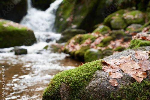 Closeup view from  beautiful stone with moss and leaves. Nice cascade from a little waterfall in background.  