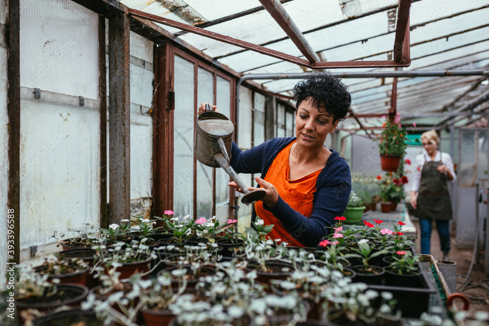 women gardener working in her green house nursery