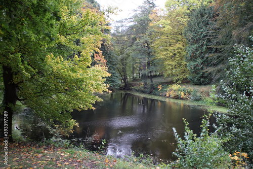 Herbst an einem See in Blankenburg