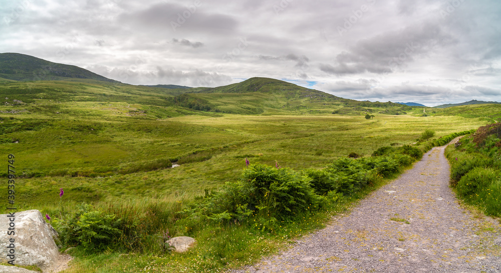 Gravel road between field and forest, panoramic viev in irish mountains Gravel road between field and forest, panoramic viev in irish mountains