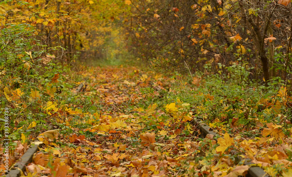Fototapeta premium Kolorowe torowisko