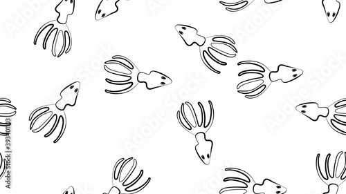 squid on white background, vector illustration, pattern. white squid with eyes, seafood. black and white squid, wallpaper and decor in pencil drawing style
