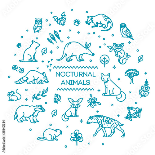 Vector. Set of linear vector nocturnal animals