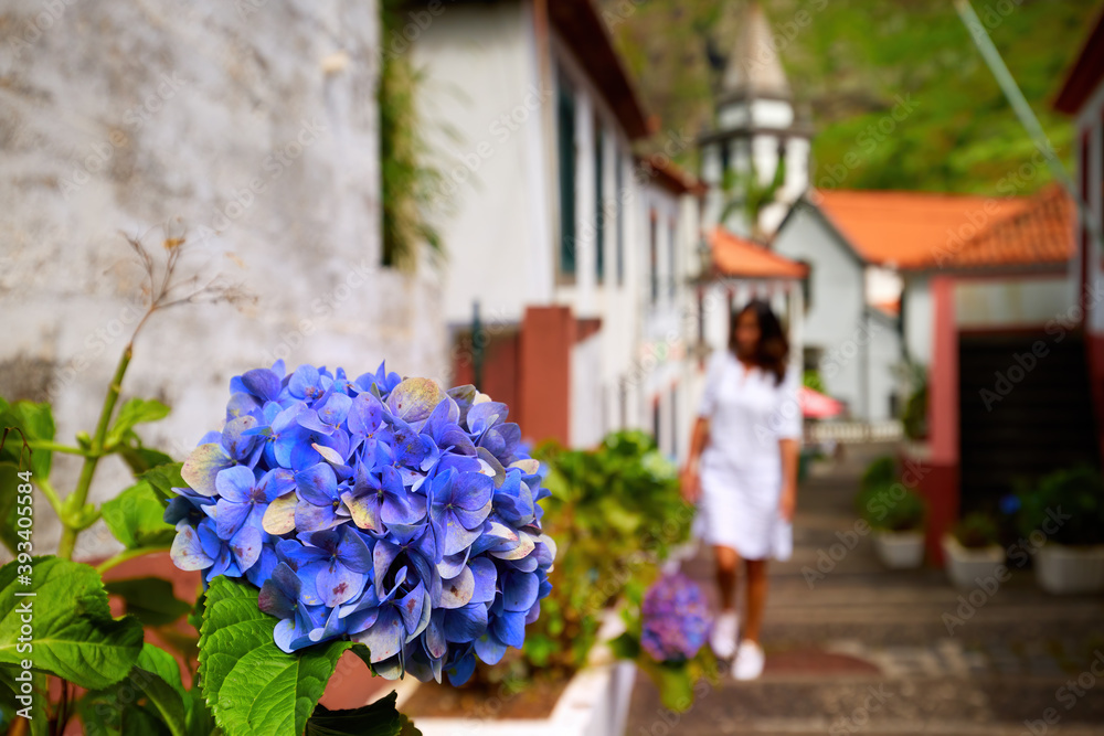 Holiday in Madeira. Middle aged woman with long hair wearing a white dress watches blue hortensia flowers on street of Sao Vicente village, Madeira.