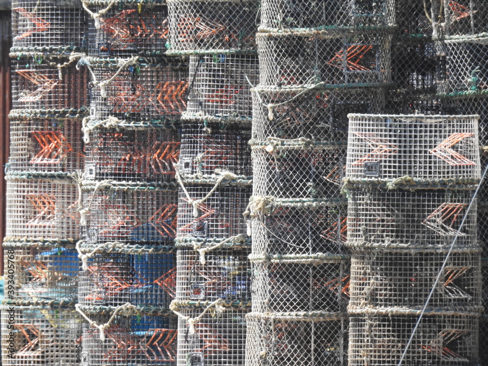 Staple of fishing baskets Staple of fishing baskets