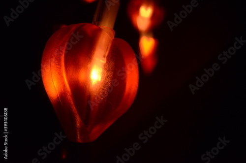 heart shaped lights