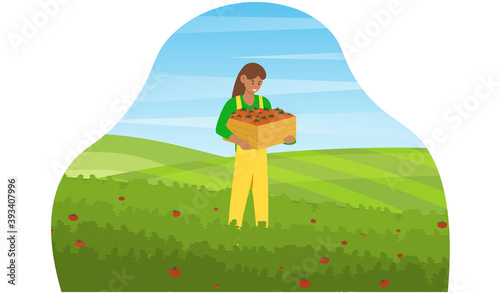 Farm and agriculture. Young woman collecting organic tomatoes from green field. Girl holding wooden box full of fresh vegetables. Girl farmer character. Cartoon flat vector illustration