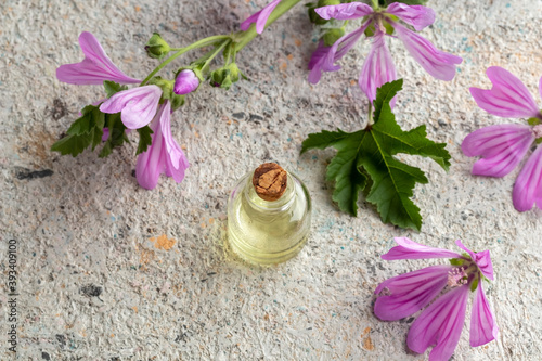 A bottle of mallow essential oil with fresh malva sylvestris flowers