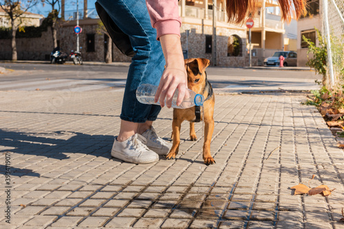 Young woman cleans her dog's pee in the street. Red-haired and responsible girl with a mask, takes care of the damages of her pet. Dilutes with water bottle and dog watches.