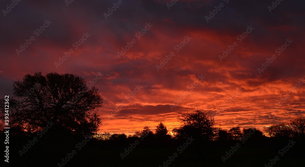 Autumn sunrise, Jersey, U.K. Fiery morning sky over hedgerows.