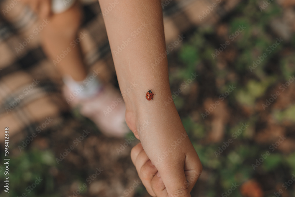 Naklejka premium ladybug on the hand