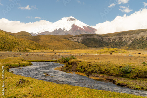 Cotopaxi Volcano and River