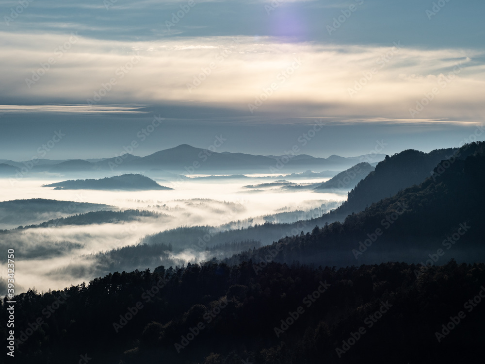 Fototapeta premium Mountains with trees and fog. Virgin autumnal morning in hilly landscape
