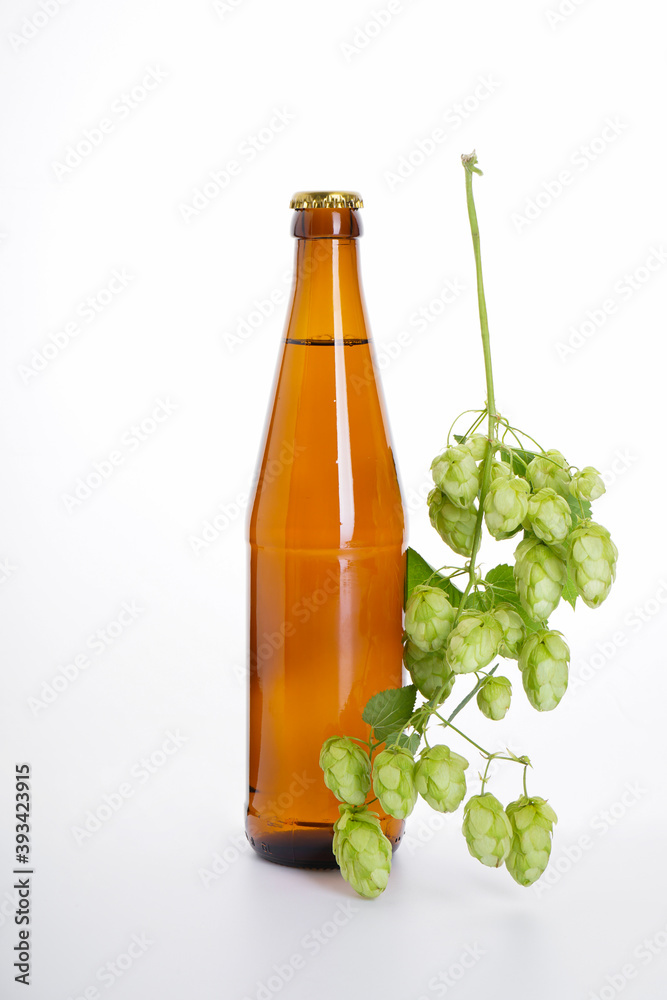 A bottle of beer and a branch of hops on a white background.