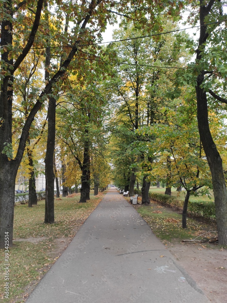 autumn in the park autumn in the park